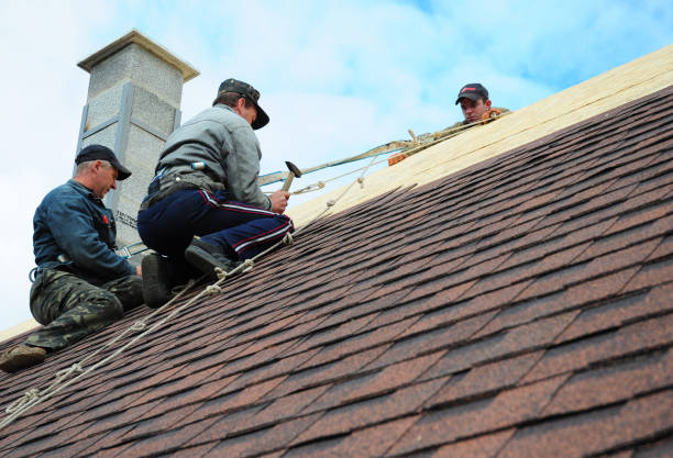 Best Local Roofing Companies  in Rockford, IL