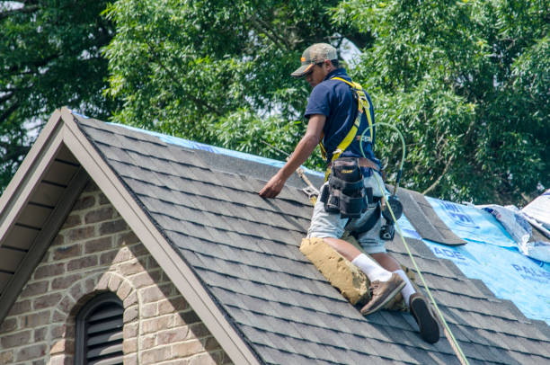 Best Residential Roofing Contractor  in Rockford, IL